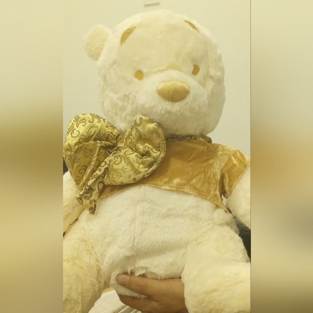 Winnie the Pooh 18inch